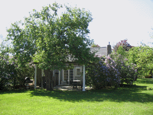 Cape Cod